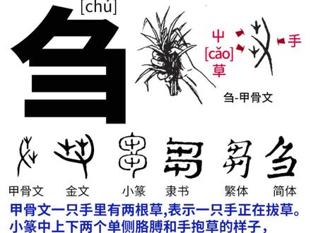 刍芻 #说文解字 #识字 #草 手拔草喂牲畜