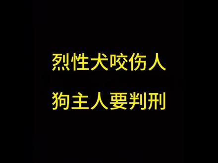 赣州滨江公园狗咬人事件,狗主人该承担怎么样的法律责任。