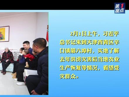 习近平在天津辛口镇第六埠村考察