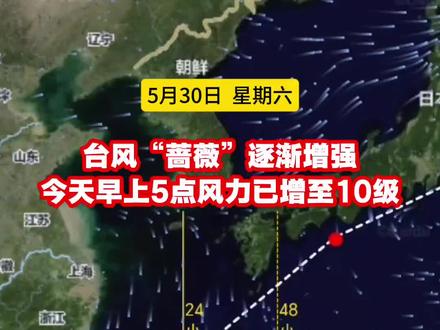 台风“蔷薇”在逐渐增强,今早(30日)5点,风力已增至10级 #台风实时路径 ##实时台风追踪 #台风蔷薇