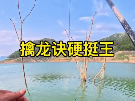 痛失2条大草鱼,明天让你10返还 #刷锅传媒#抖音荒野垂钓季#擒龙诀硬挺王大鱼挑战赛第二季 #野钓
