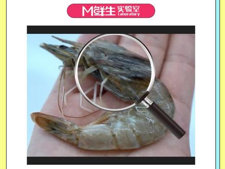 虾头发黑居然还能吃?!#吃虾吃虾 #海鲜美食 #虾头能吃吗 #反复冷冻 #江太师剧场