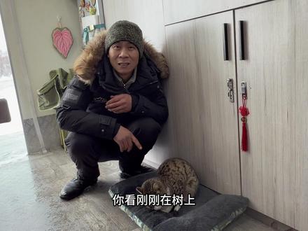 冰天雪地车里跑来只猫,一直养着的狗和猫势不两立,这可咋办?