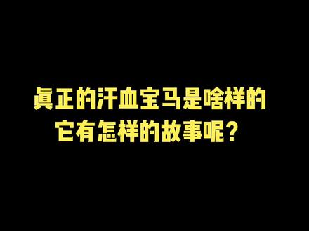 一场由汗血宝马引发的大汉立威之战。#历史 #历史知多少