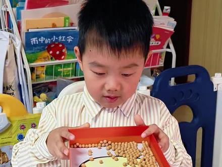 一个旧鞋盒,一把豆子🫘,(素材在群收藏)直接硬控宝宝俩小时,手眼协调,精细动作耐心值就这么悄咪咪的锻炼了,赶紧做起来吧#在家早教#O成本早教 #每日亲子游戏 #创作者中心 #创作灵感