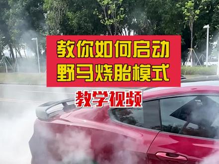 你的车敢这么玩吗?#内容过于真实 #dou是好车 #福特野马