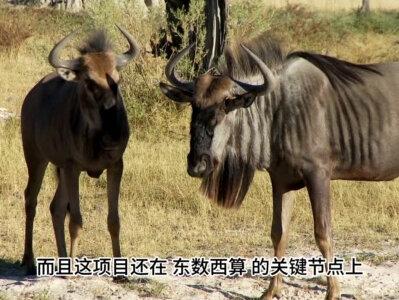 大位科技 #大位科技 #科普 #热点新闻事件 #涨知识