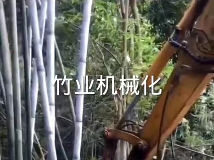 乡下收购竹子一吨380,加工成竹片一吨580,边角料打成100目竹粉780一吨 现代机械化农村创业好项目#机械化#现代化#产业化