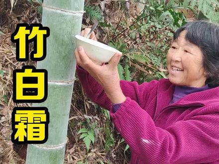 竹子上白白的这层粉末可不是脏东西,它就是大名鼎鼎的竹白霜 #强烈推荐 #涨知识