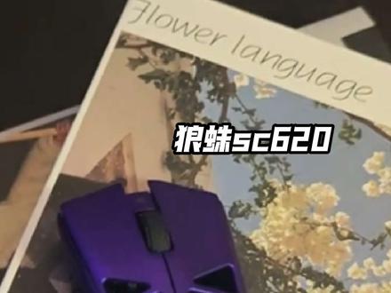 狼蛛SC620凭什么敢叫板百元级外设? #狼蛛sc620#机械鼠标 #好物推荐🔥 #好物测评