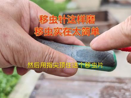 移虫针这样磨,移虫实在太简单