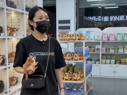 老公说我买的刀盾狗一看就不纯,刀盾都不带,气得我今天去宠物店重新买。
#我的刀盾 #AI #萌宠 #宠物 #搞笑