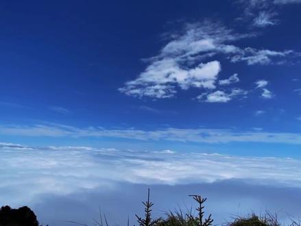 徒步九峰山之颠赏杜鹃观云海 #徒步 #户外爬山 #九峰山 #成都周边游 #vlog日常 #旅行推荐官#登山