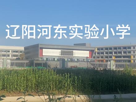 辽阳河东,实验小学,听说班级都分完了?有在这里就读的吗?#学区划分 #辽阳 #辽阳市