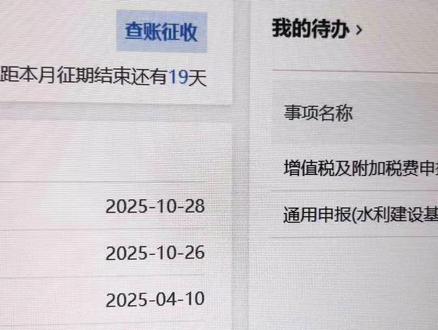 #财务小知识 #会计干货 #个体户申报 #个体户 #查账征收 @DOU+小助手 个体户申报流程