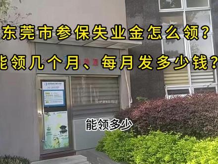 东莞市失业金每月1872元,你知道怎么领吗?#东莞社保 #失业金 #东莞打工人 #社保知识