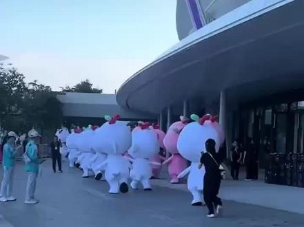 活泼可爱的“大湾鸡”~