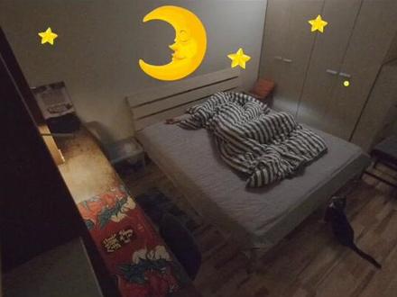 蹦迪可以,但能不能统一个时间?