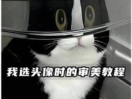我选头像时的审美剪辑教程#剪映 #剪辑教程 #手机剪辑 #我选头像时的审美 #选头像审美这一块拿捏了 @袋鼠鸡 wechat头像小猫 小猫背景图 耄耋头像 泰坦尼克猫 猫meme素材 低脂小猫头像 情头 小猫搞怪头像 女头 小猫审美精选 猫猫头像 厨师小猫 猫猫头像 选猫头像技巧 抽象头像 王的头像 抽象表情包