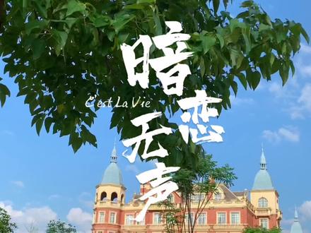 大二下结课作业:青春里的暗恋,都如愿以偿了吗? #大学 #校园 #暗恋 @抖音小助手