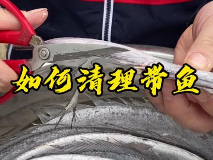 清理带鱼不留鱼刺的小方法。#海鲜