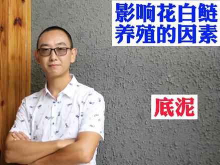 ⑧底泥厚,有机质多的老化水体养殖花白鲢可以用EM原种发酵的EM菌配合芽孢使用#鱼苗水花#花鲢#水质@抖音小助手