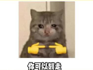 失踪的孩子,大家帮助扩散寻找#诈骗#寻人启事#崔福祥#张金恺