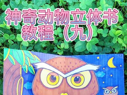 #神奇动物立体书 教程(九)——猫头鹰#手工立体书 #手工制作绘本 #自制绘本 #手工立体绘本