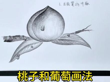 桃子🍑和葡萄🍇简单画法#画画#简笔画#素描