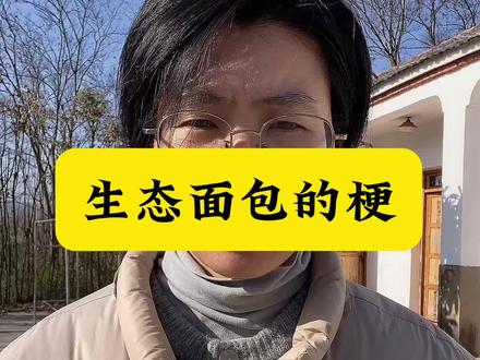 我们这里没有阴谋,都是阳谋#生态面包
