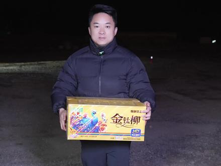 100发金钛柳#恒达烟花 @花炮姐-恒达烟花创始人