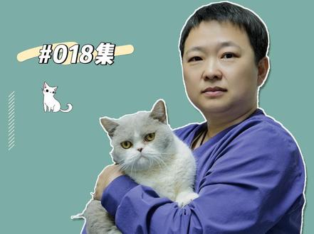 018集| 各位新晋铲屎官,猫咪什么时候开始驱虫,你做对了吗?#新手养猫 #驱虫 #猫驱虫 #宠物知识 #养猫新手