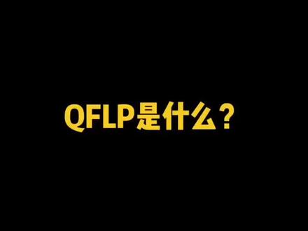 QFLP是什么?@抖音小助手