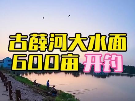 禁钓鲢鳙,其他鱼获自由。 #钓鱼 #路亚 #水库钓鱼 #真实生活分享计划 #同城