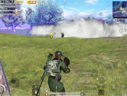 海岛三剑客 (佬六 小灰灰 初见) #佬六