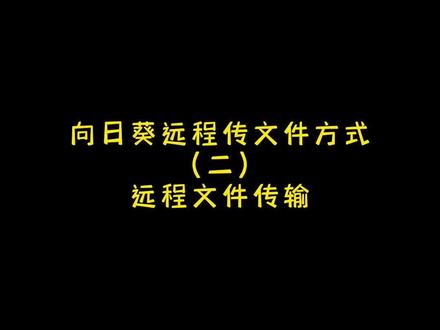 如何远程传文件?(二)#办公技巧 #干货分享 #每天跟我涨知识 #向日葵远程控制