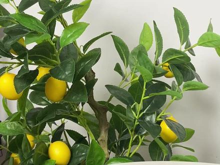 飞书CRM系统,让客户管理效率狂飙10倍 💡 客户信息太多?管理混乱?回访总是忘?如果你用飞书来管理自己的项目、任务的话,别忘了试试用它来管理自己的客户!
我在飞书上搭建的这个CRM客户管理系统,应该能帮你不少忙。
📌 核心功能亮点:
✅ 客户信息一键收集:发送收集表,客户自主填写,所有数据自动汇总。
✅ 生日&回访提醒:系统自动根据生日&设定的回访时间提醒,再也不会错过重要时刻!🎂📅
✅ 客户档案一目了然:每次沟通记录都会归档,客户需求、跟进进度一清二楚。📖
✅ 数据可视化看板:新客户数量、每日回访任务,一眼掌握重点信息。📊
✅ 团队协作无缝衔接:销售只能看到自己的客户,主管全局管理,数据清晰分工明确。👥
📱 支持多端使用:手机、电脑、iPad,都能随时查看!🔗
🎯 高度自定义,适配不同行业:可以根据自己的行业来调整页面里面的文字内容, 更符合自己的需要~
当然,飞书唯一的缺点就是比较贵,如果想要节约成本可以试试我搭建在Notion和腾讯文档上的CRM客户管理系统。
也承接各种定制,有需要就滴滴我吧❤️
#飞书 #lark #客户管理 #CRM系统 #客户管理系统