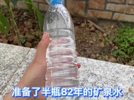 楼顶种菜,长出了一堆堆白色恶心黏菌,用酒精试试看除菌效果如何