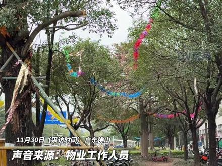 #佛山一小区附近经常下“鸟屎雨” 专家:调整局部环境灯光或植被,或能长期驱赶家燕#广东dou知道