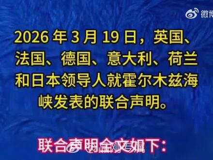 “新八国联军”?#伊朗#霍尔木兹海峡 #护航