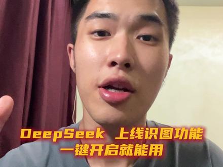 重磅升级!DeepSeek 上线超强识图功能,一键开启就能用#AI #deepseek #国产大模型 #国产AI