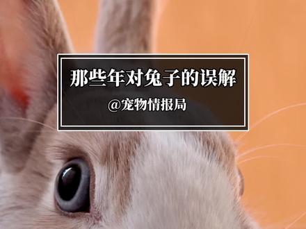 #兔兔🐰 #宠物兔 #宠物冷知识 #科普 那些年我们对兔子的误解~