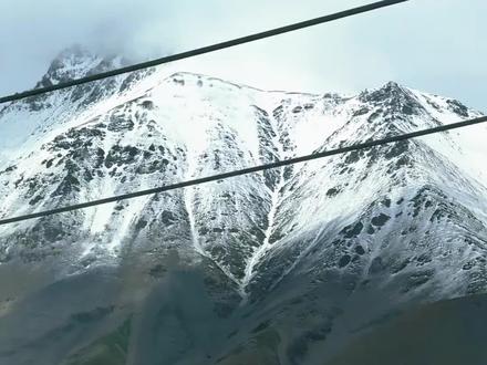 青海:对!就得这么宣传我!让他们知道我跟青岛是有区别的 #青海 #青岛 #生命树 #青藏高原 #网友