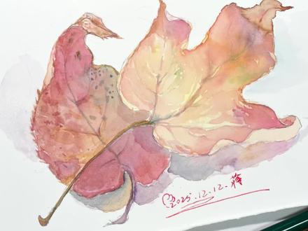 树叶写生教程 树叶怎么画 简单线描加水彩 #写生 #绘画教程 #秋天落叶🍂