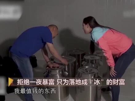 农村男子创业种树,从树上提取天然冰片,价值600万一桶 #龙脑樟#创业#致富思维穷人要变富