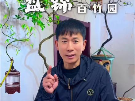 小叶簕竹的生桩如何养护,看看这条视频能不能帮到你
#小叶簕竹 #生桩养护 #盆景养护 #绿植盆栽