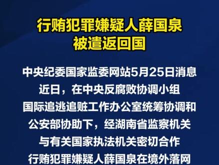 行贿犯罪嫌疑人薛国泉被遣返回国
