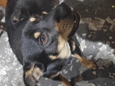 虽然在他们心里我比高富帅更冷漠#转场手势舞 #高还没富但帅 #我比高富帅更冷漠 #抖音流量扶持 🔥 yc:@小内8