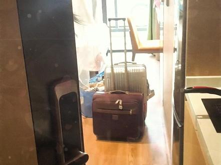 简单的婚礼 简单的幸福#爱情 #婚礼 #有情人终成眷属 #绘画 #歌曲樱花最美是飘落