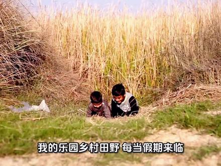 四下第一单元作文